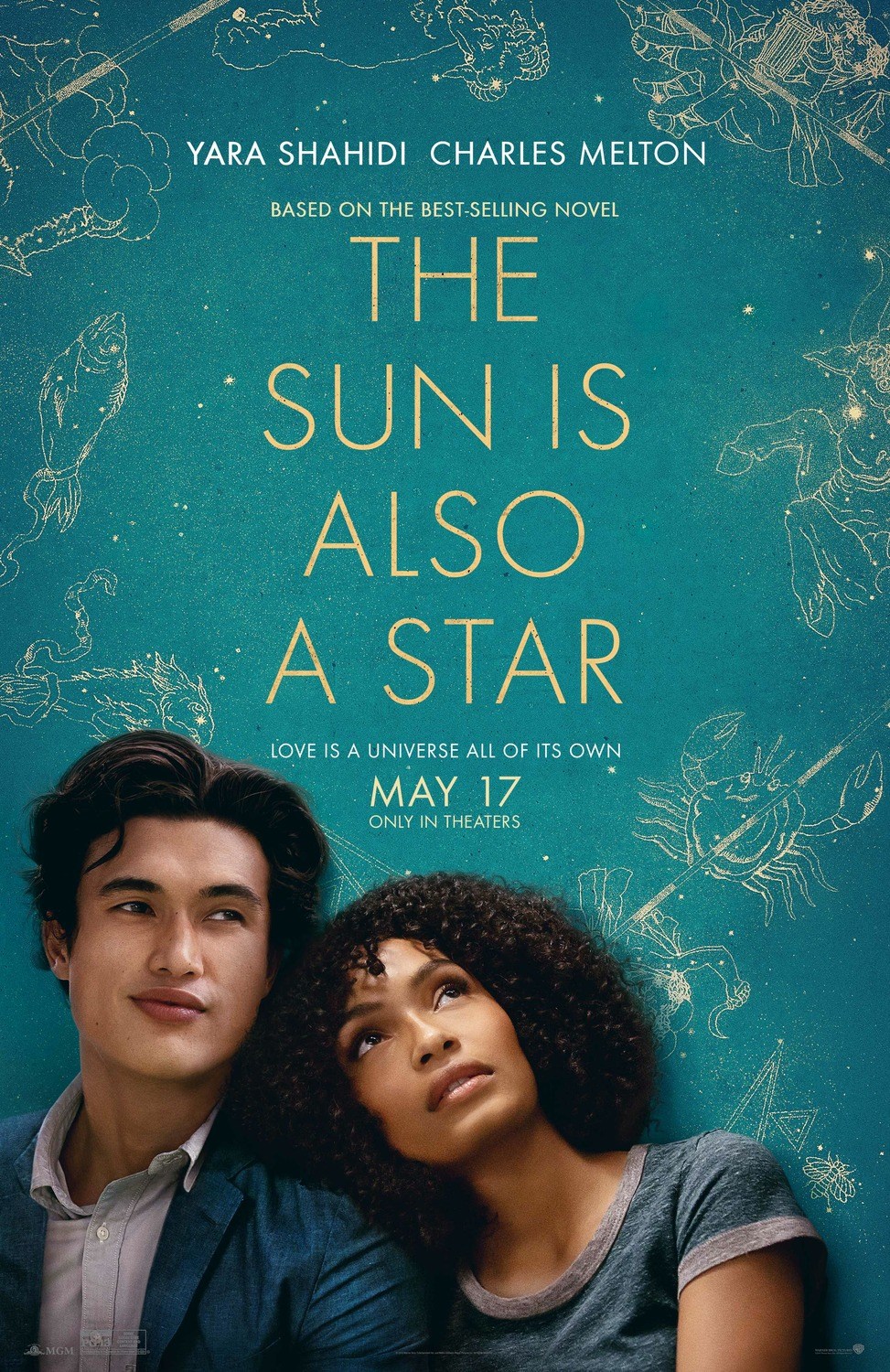 the sun is also a star book author