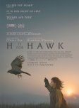 H Is for Hawk