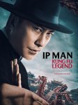Ip Man: Kung Fu Legend