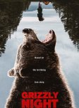 Grizzly Night