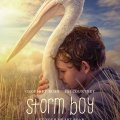 Storm Boy