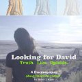 Looking for David