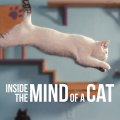 Inside the Mind of a Cat