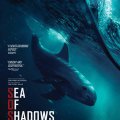 Sea of Shadows