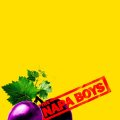 The Napa Boys