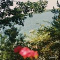 Sunfish (& Other Stories on Green Lake)
