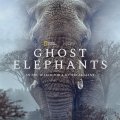 Ghost Elephants
