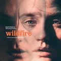 Wildfire