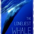 The Loneliest Whale: The Search for 52