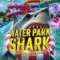 Water Park Shark