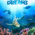 Ocean Dreams