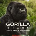 A Gorilla Story