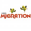 Migration