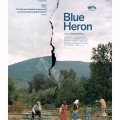 Blue Heron