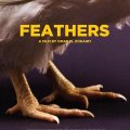 Feathers (2021)