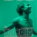 Urchin