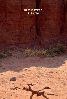 Coyote vs. Acme