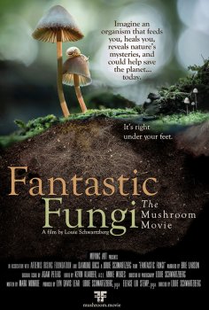 Fantastic Fungi