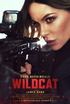 Wildcat Wildcat