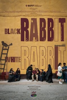 Black Rabbit, White Rabbit