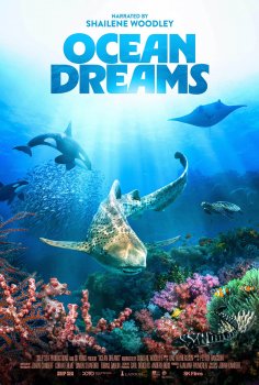 Ocean Dreams