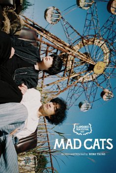 Mad Cats