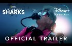 Playing with Sharks | Official Trailer | Disney+