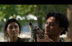 Crocodile Tears | Trailer | NZIFF25