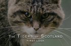 The Tigers of Scotland - Teaser Trailer