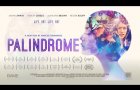 PALINDROME 2020 Official Trailer [HD] Marcus Flemmings