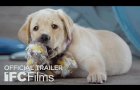 Pick of the Litter - Official Trailer I HD | Sundance Selects