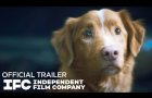 Good Boy - Official Trailer | HD | IFC Films