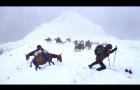 The Snowman Trek - Official Trailer
