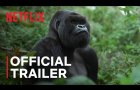 A Gorilla Story: Told by David Attenborough | Official Trailer | Netflix