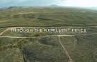 THROUGH THE REPELLENT FENCE - Film Trailer