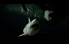 47 Meters Down: Uncaged (2019) Exclusive World Trailer Premiere HD