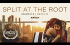 ARRAY Releasing's SPLIT AT THE ROOT | Official Trailer – Streaming on Netflix 3.3.23