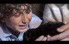 Shepherd: The Hero Dog Trailer (HD)