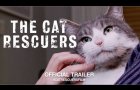 The Cat Rescuers (2019) | Official Trailer HD