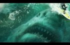 47 Meters Down - Official Trailer (2017) | Shark Movie HD