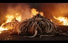 Anthropocene – Official U.S. Trailer