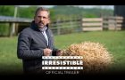 IRRESISTIBLE - Official Trailer [HD] - In Theaters May 29