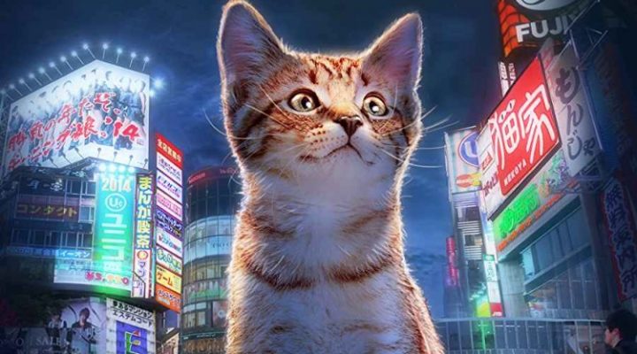 Cat Nation: A Film About Japan’s Crazy Cat Culture