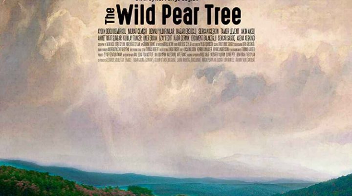 The Wild Pear Tree