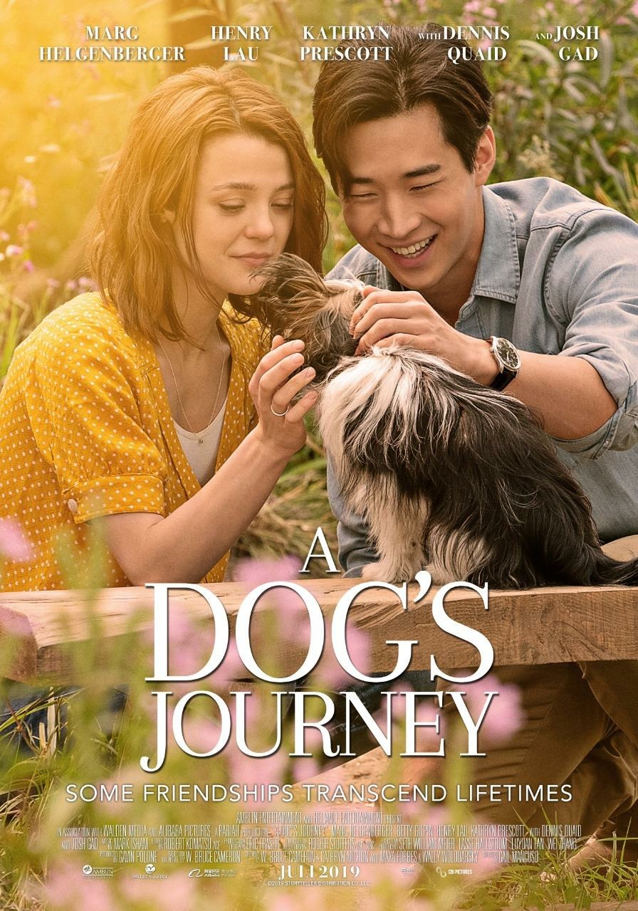 a dog's journey book pdf