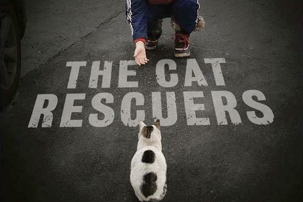 The Cat Rescuers