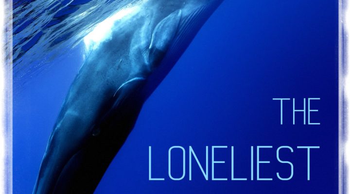 The Loneliest Whale: The Search for 52