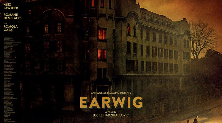 Earwig