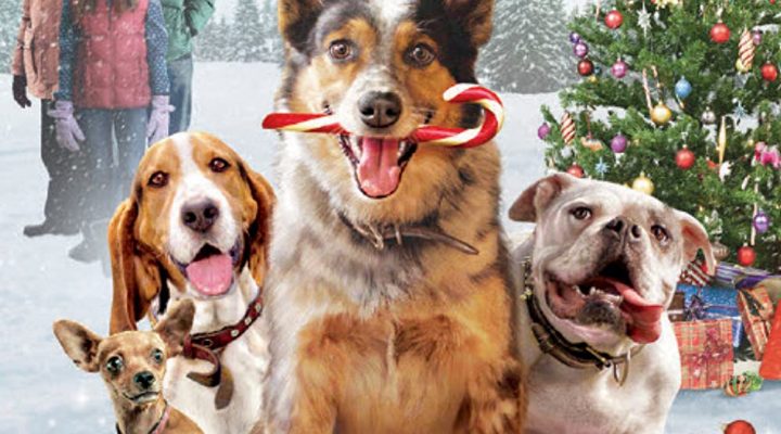 Pups Alone
