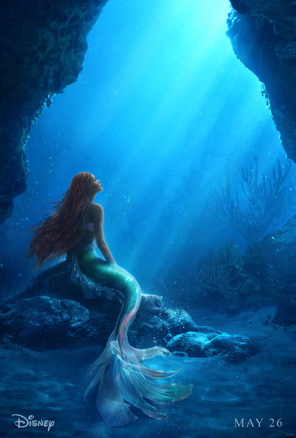 The Little Mermaid Torrent & Streams Where You Watch
